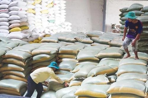 8 nhiệm vụ triển khai thi hành Luật Dự trữ quốc gia