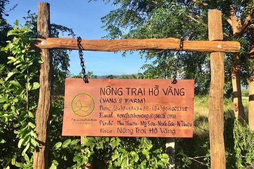 Xác minh hoạt động tôn giáo tại 'nông trại Hồ Vàng' sau vụ ông Thích Nhuận Đạt
