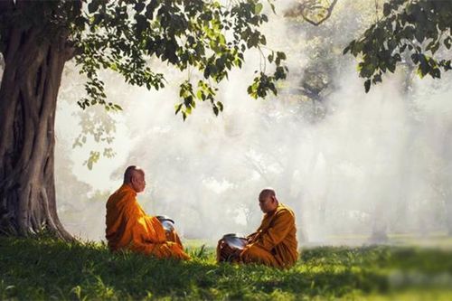 Lùm xùm của người mặc áo nhà tu: Đừng vì chiếc lá sâu mà chặt cả cây bồ đề
