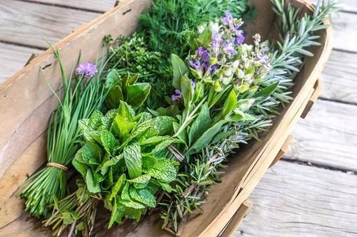 5 loại rau gia vị tốt nhất giúp giảm viêm và tăng cường sức khỏe tim mạch