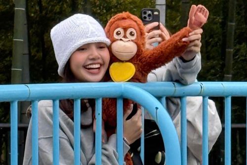 Lisa (BlackPink) thăm khỉ Punch bị mẹ bỏ rơi