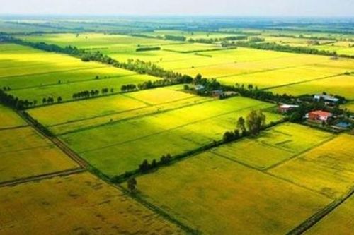 Quyết định 633/QĐ-BNNMT về tiếp nhận, xử lý phản ánh vi phạm quản lý, sử dụng đất đai