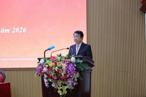 Phê chuẩn kết quả bầu, miễn nhiệm chức vụ Chủ tịch Ủy ban nhân dân tỉnh Ninh Bình