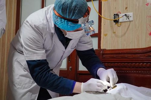 Cô gái trẻ hiến hai giác mạc sau khi qua đời