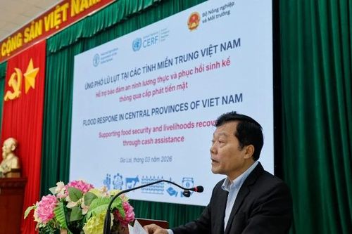 Hơn 1.300 hộ dân tỉnh Gia Lai nhận hỗ trợ tiền mặt khắc phục hậu quả thiên tai