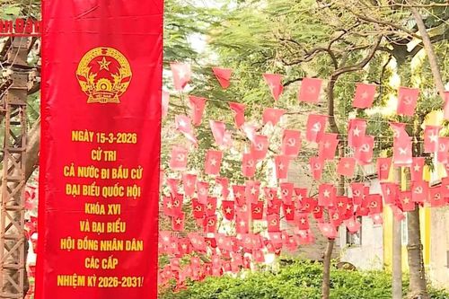 Cử tri trẻ gửi gắm niềm tin trong lá phiếu đầu tiên