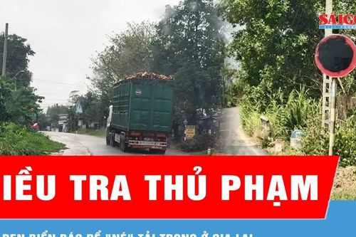 Điều tra thủ phạm bôi đen biển báo để 'né' tải trọng ở Gia Lai
