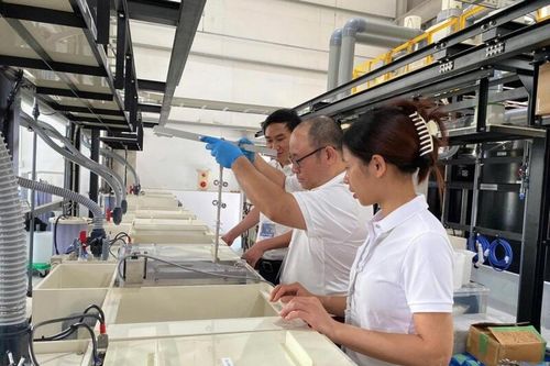 S&P Global: Ngành sản xuất Việt Nam tâm thế tích cực đầu năm mới