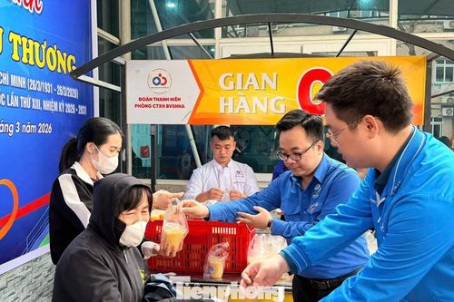 Nhiều hoạt động thiết thực của tuổi trẻ các cơ quan Đảng tỉnh Nghệ An