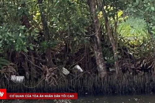 Phát hiện thi thể trẻ sơ sinh trôi trên sông