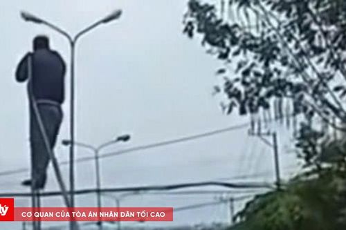 Xử phạt tài xế chở người 'diễn xiếc' trên thùng xe