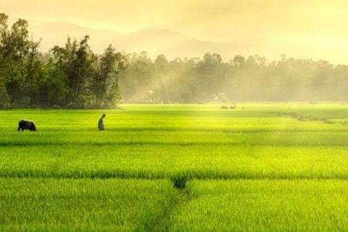 Tiếng cựa mình của nắng