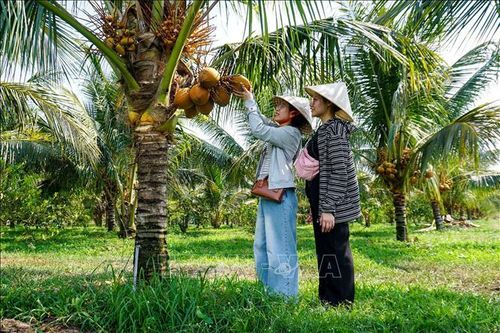 Hình thành không gian du lịch nông nghiệp xanh quanh Núi Bà Đen