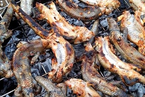 Loài bò sát vừa nhìn đã 'chết khiếp' lại là đặc sản ở nhiều tỉnh miền Tây