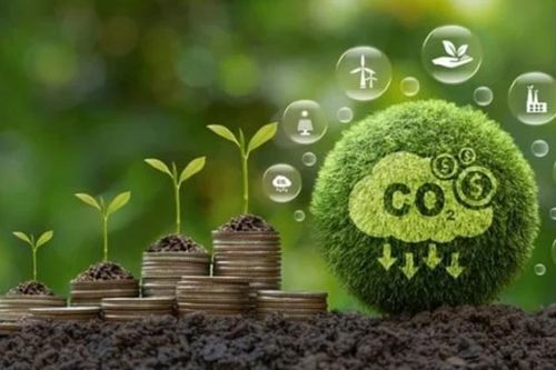 Việt Nam thúc đẩy hợp tác ASEAN trong triển khai hành động carbon xanh dương
