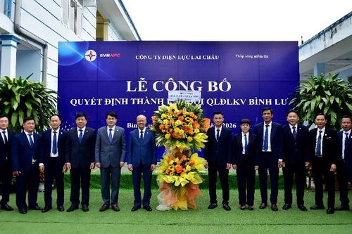 Công bố quyết định thành lập Đội Quản lý Điện lực khu vực Bình Lư