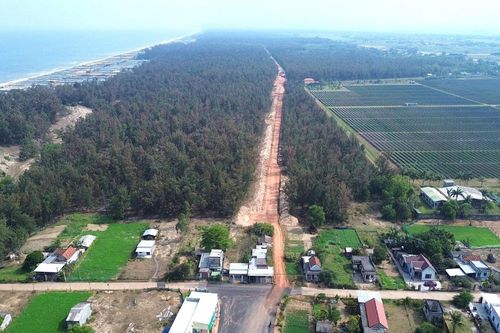Quảng Ngãi đẩy nhanh tiến độ dự án đường ven biển 5.600 tỷ đồng xuyên rừng