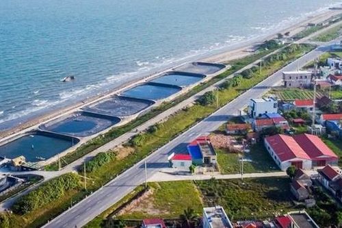 Đường ven biển hơn 3.300 tỷ đồng mở không gian phát triển mới cho Ninh Bình