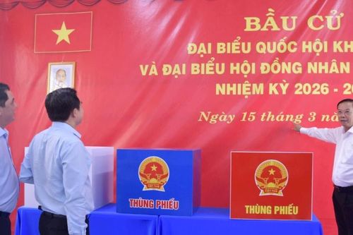 Khi chuyên gia tham gia cơ quan dân cử