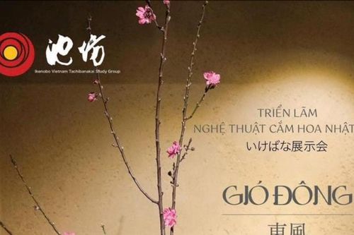 Triển lãm 'Gió đông' giới thiệu nghệ thuật cắm hoa Nhật Bản