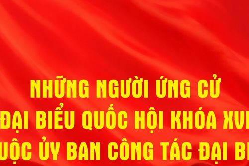 Những người ứng cử đại biểu Quốc hội khóa XVI thuộc Ủy ban Công tác đại biểu