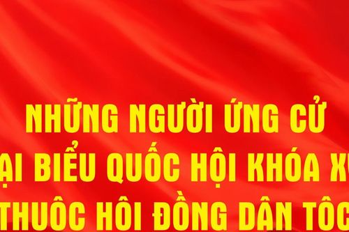 Những người ứng cử đại biểu Quốc hội khóa XVI thuộc Hội đồng Dân tộc