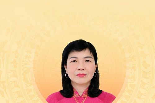 Tiểu sử tóm tắt và chương trình hành động của người ứng cử đại biểu Hội đồng nhân dân tỉnh Tuyên Quang khóa XX Phạm Thị Minh Xuân