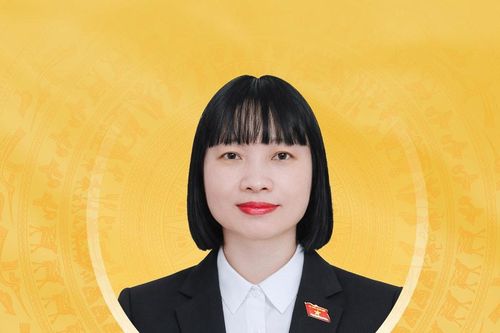 Tiểu sử tóm tắt và chương trình hành động của người ứng cử đại biểu Quốc hội khóa XVI Thành phố Hải Phòng Nguyễn Thị Việt Nga