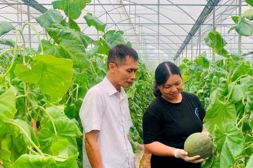 Phụ nữ xã Ứng Thiên khẳng định vai trò trong phát triển kinh tế - xã hội