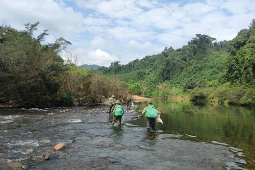 Gùi lương thực băng hơn 450km đường rừng bảo vệ động vật hoang dã quý hiếm