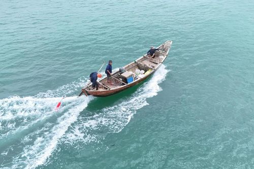 Quảng Ngãi: Ngư dân bãi ngang trúng đậm 'lộc trời' từ ốc gạo
