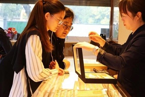 Dẫn mẹ đi mua nhà, bà mở vali đưa ra một túi vàng dù lương hưu 0 đồng: Toàn bộ bí quyết!