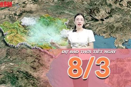 Dự báo thời tiết ngày 8/3/2026: Thời tiết cả nước thuận lợi cho các hoạt động vui chơi ngày Quốc tế Phụ nữ