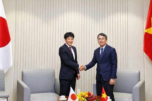 Thúc đẩy quan hệ Việt Nam-Nhật Bản phát triển ngày càng hiệu quả