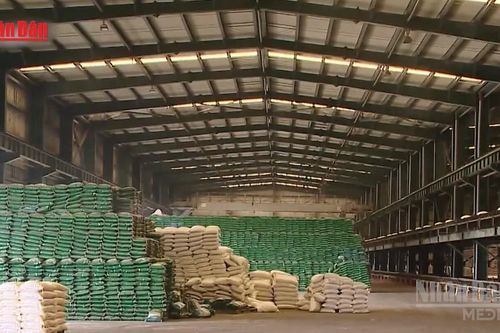 Giá phân bón tăng mạnh do ảnh hưởng của chiến sự Trung Đông