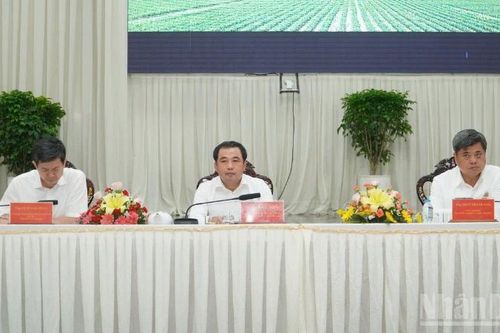 Sơ kết 2 năm thực hiện Đề án phát triển bền vững 1 triệu ha lúa chất lượng cao