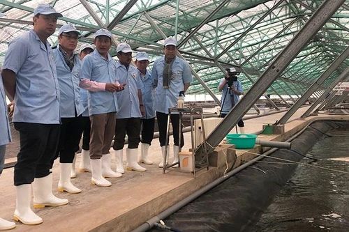 Hai tháng đầu 2026, công tác an sinh xã hội tiếp tục được bảo đảm