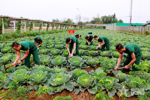 Những ngày đầu ở Trung tâm Huấn luyện 334