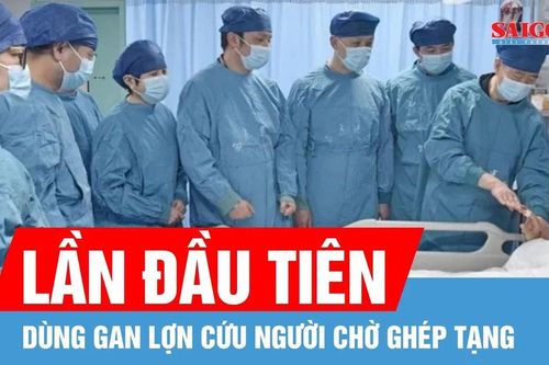 Lần đầu gan lợn cứu sống người đàn ông chờ ghép tạng