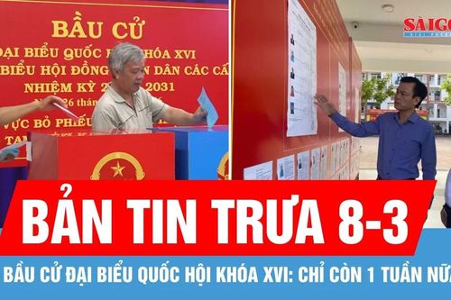 Bản tin trưa 8-3: Bầu cử đại biểu Quốc hội khóa XVI: Chỉ còn 1 tuần nữa