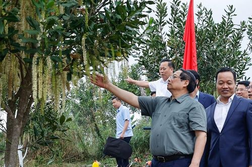 Thủ tướng: Liên kết doanh nghiệp – nông dân, biến núi rừng Tây Bắc trùng điệp thành của cải vật chất