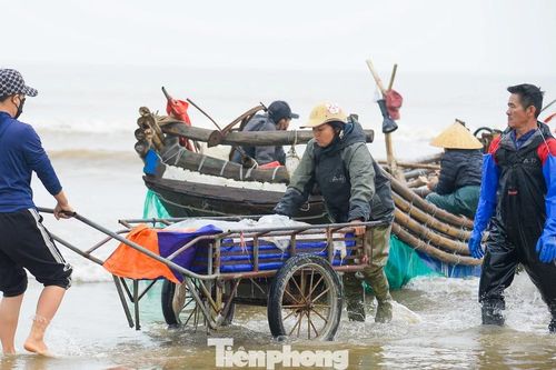 4h sáng ra biển, 8h thuyền vào bờ đầy ắp sứa tươi ngon