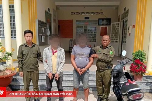 Trộm dây điện để có tiền 'phê' ma túy