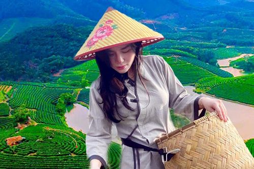 Nữ nghệ nhân trẻ và hành trình 'đánh thức' hương trà từ chè Gay