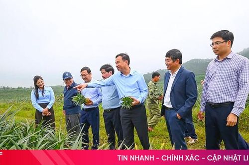 Từ liên kết sản xuất đến hình thành hệ sinh thái nông nghiệp, Hà Tĩnh từng bước nâng tầm nông sản