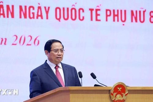 Vai trò, vị thế và những đóng góp quan trọng của phụ nữ Việt Nam