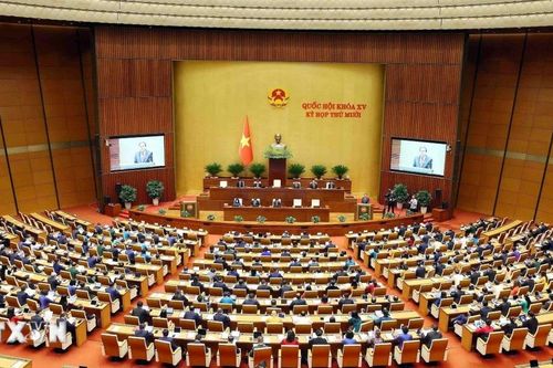 Vai trò then chốt trong thể chế hóa định hướng, củng cố nền tảng cho phát triển