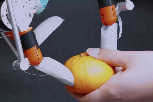 Đột phá robot dùng móng tay bóc vỏ cam, nhặt đồng xu