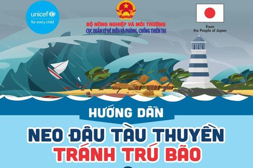 Hướng dẫn neo đậu tàu thuyền tránh trú bão