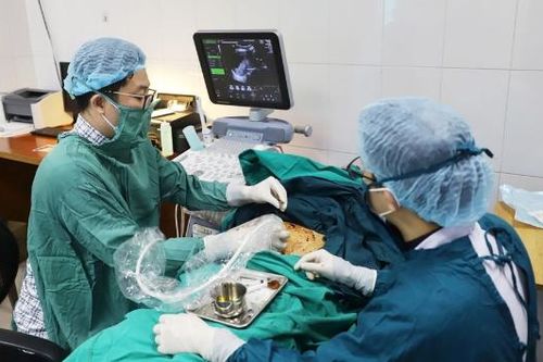 Khám sức khỏe tiền hôn nhân: Chủ động phòng ngừa bệnh di truyền